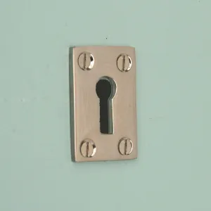 Polished Nickel Oblong Escutcheon