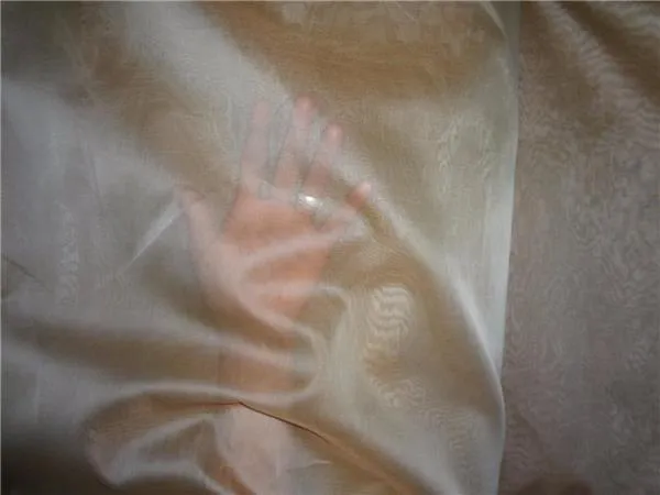 SILK ORGANZA CAMEL COLOR 118&quot; INCHES WIDE