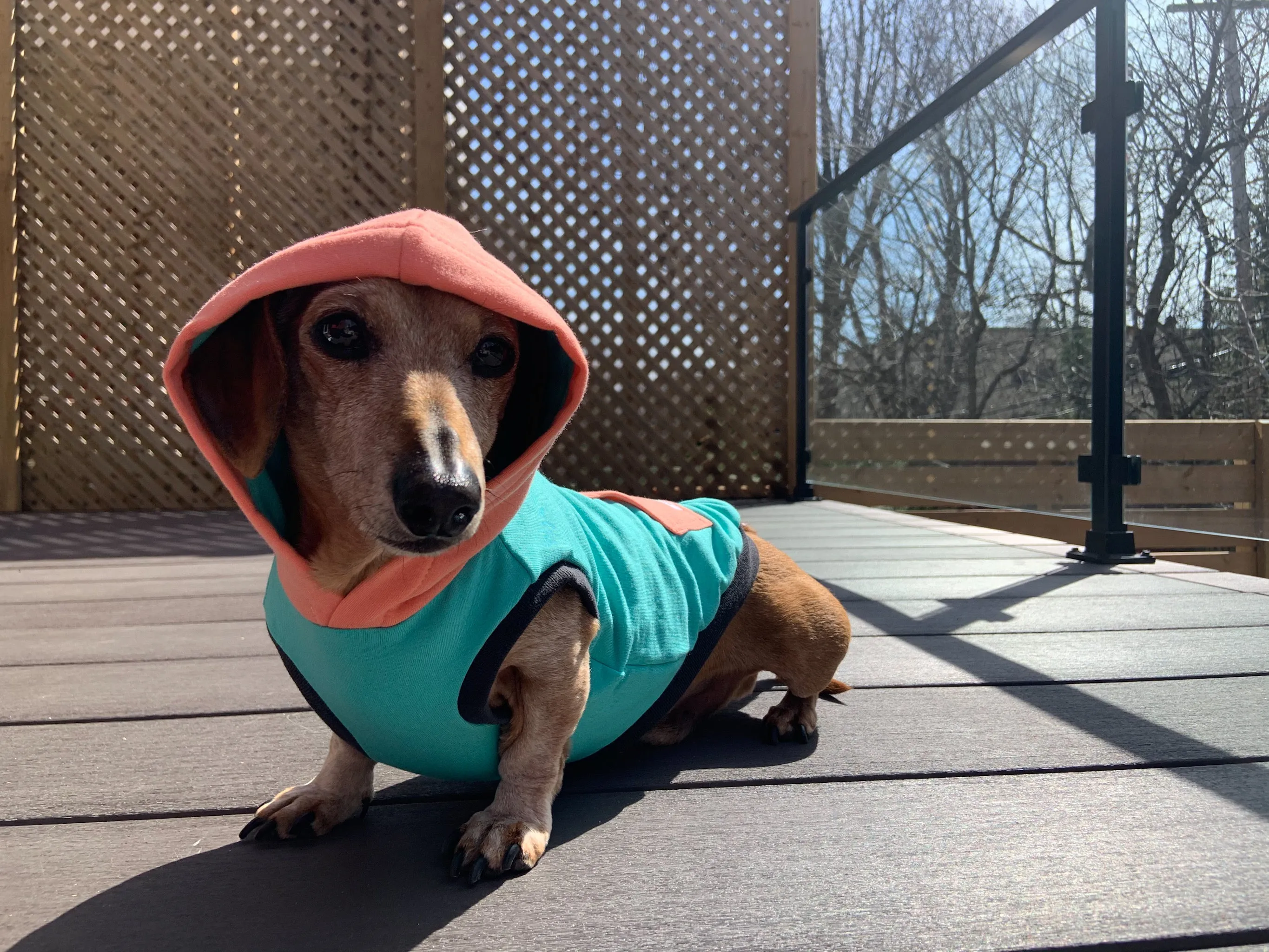 The Sharper Barker - Fleece Sleeveless Dog Luxe Hoodie - Malibu
